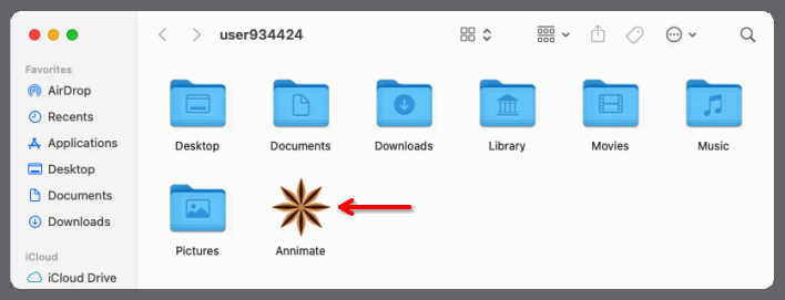 Screenshot of macOS home folder